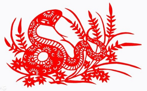 2025 Snake Horoscope: Career, Wealth, Love & Health