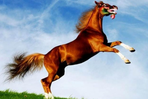 2025 Horse Horoscope: Career, Wealth, Love & Health